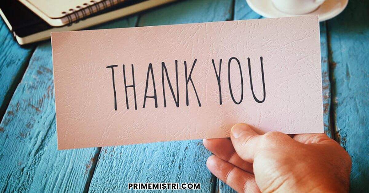 20+ Preceptor Thank You Notes – Sincere and Grateful