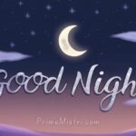 Heart-Touching Good Night Messages for Him